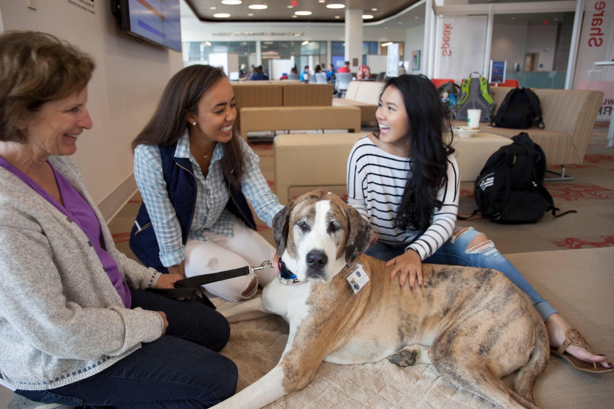 Two students petting a therapy dog and the owner of the therapy dog sitting on the ground